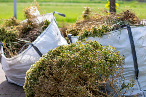 Best Garage Cleanout Services  in Frazee, MN
